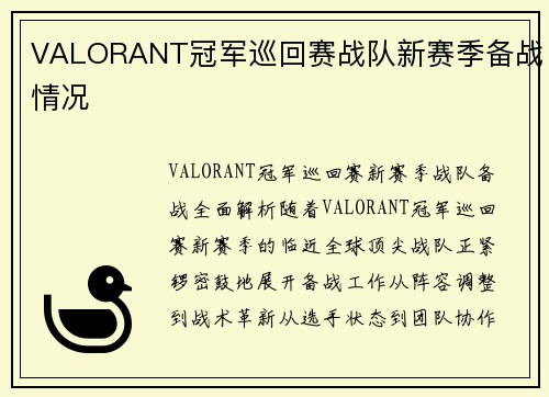 VALORANT冠军巡回赛战队新赛季备战情况